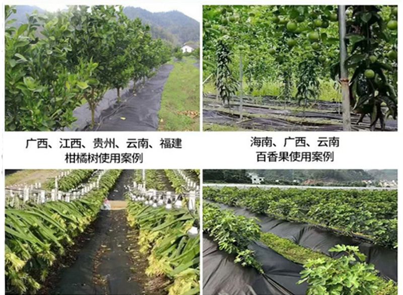 农用除虫布详情图1