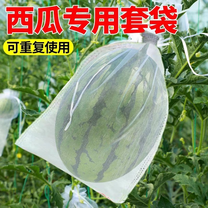 西瓜抽绳套袋32x48