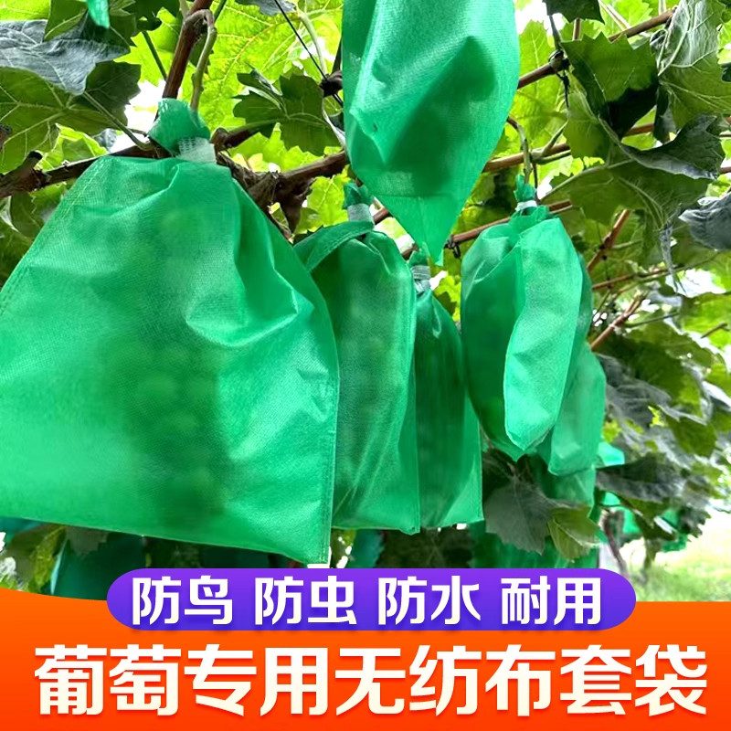 葡萄套袋浅绿色28x38
