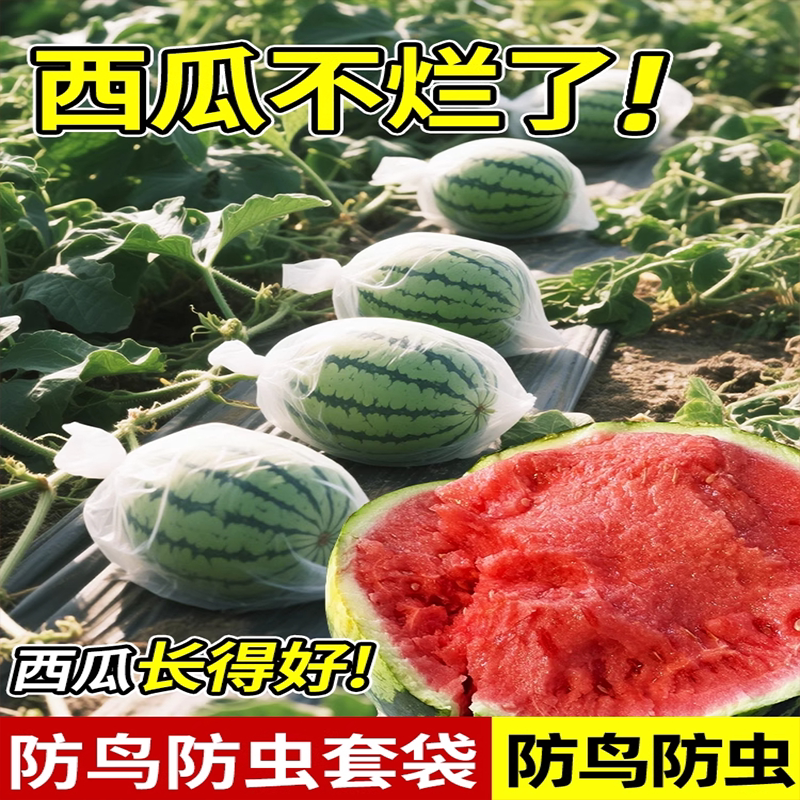 水果袋展示