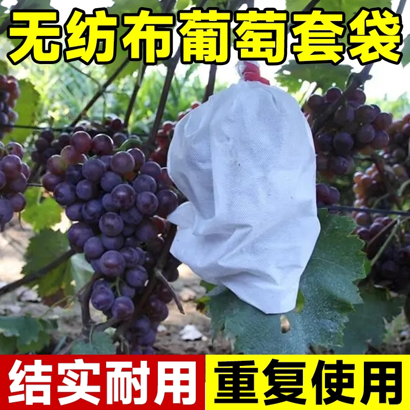 水果袋规格